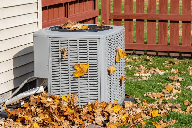 Best HVAC air duct cleaning  in Huntington, TX